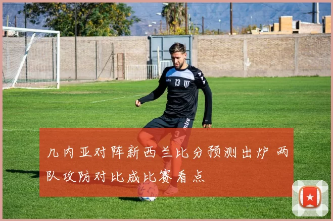 几内亚对阵新西兰比分预测出炉 两队攻防对比成比赛看点