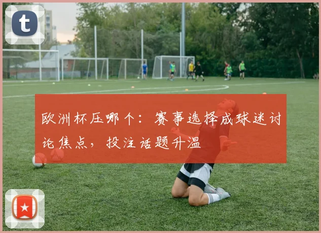 欧洲杯压哪个:赛事选择成球迷讨论焦点,投注话题升温